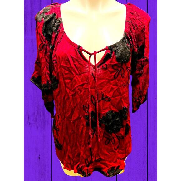 Liv Los Angeles Anthropologie Blouse Large Whimsygoth Witchy Rose Embroidered - Picture 1 of 5
